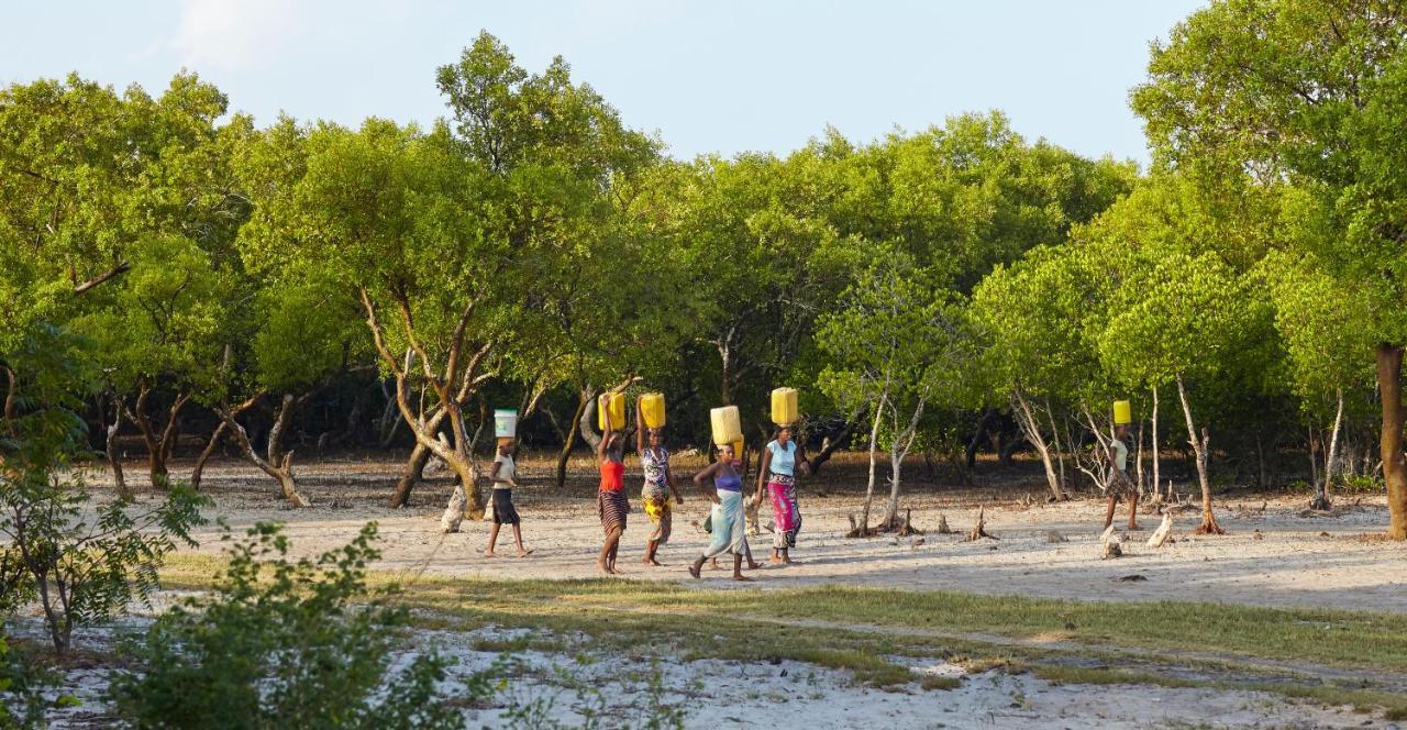 Bed and Breakfast Mangrove View Watamu Exteriér fotografie