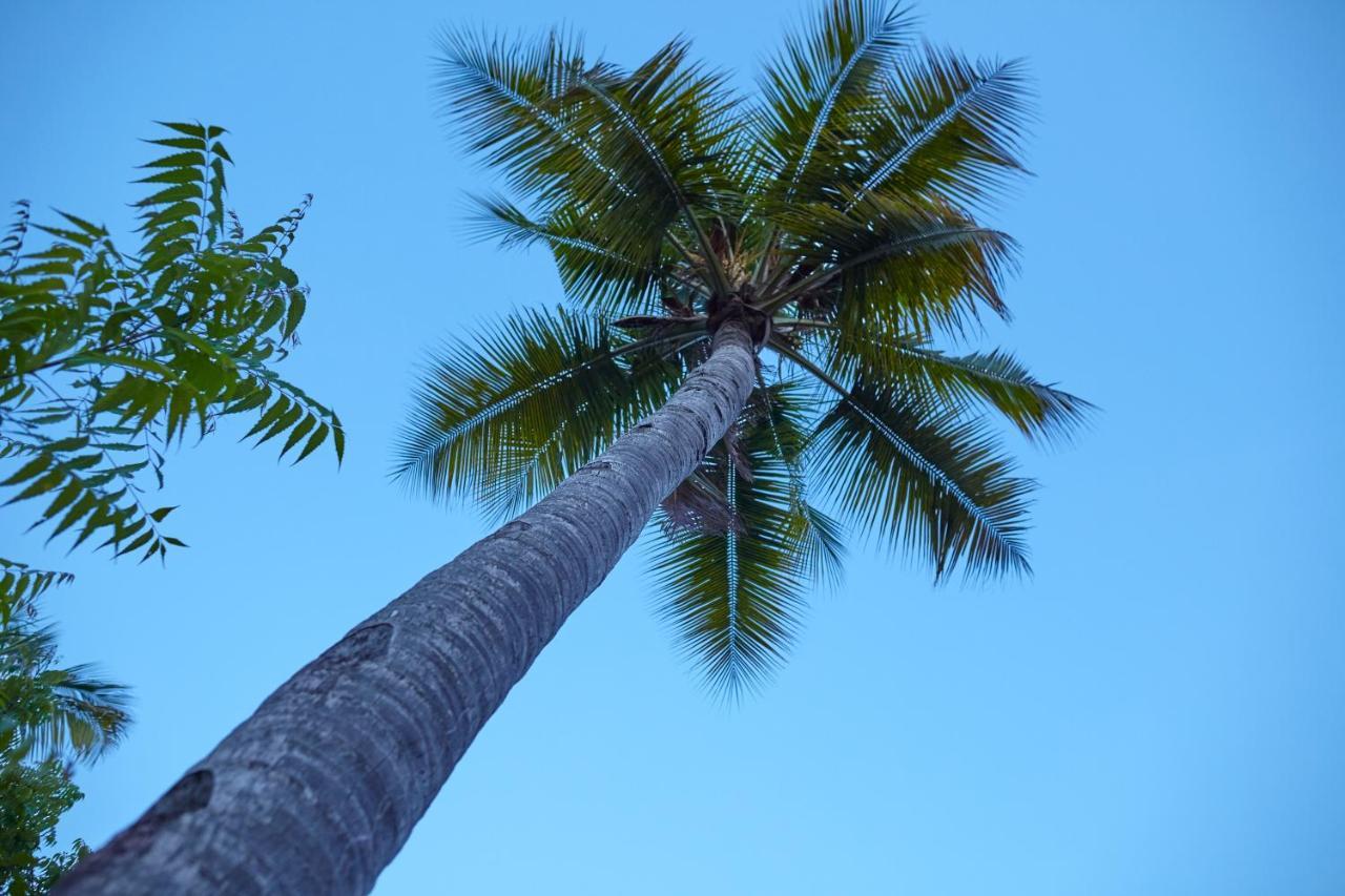 Bed and Breakfast Mangrove View Watamu Exteriér fotografie