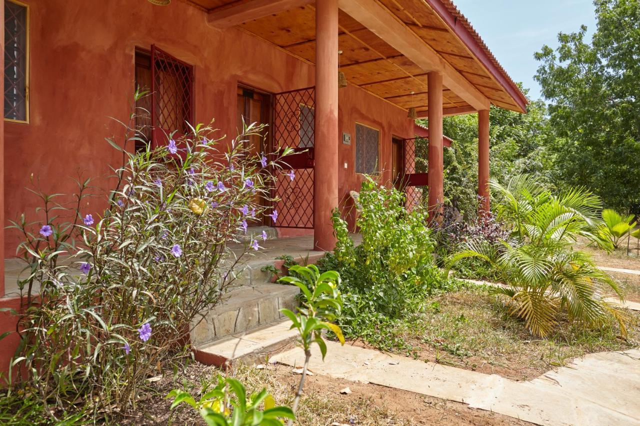 Bed and Breakfast Mangrove View Watamu Exteriér fotografie